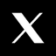 Logo x